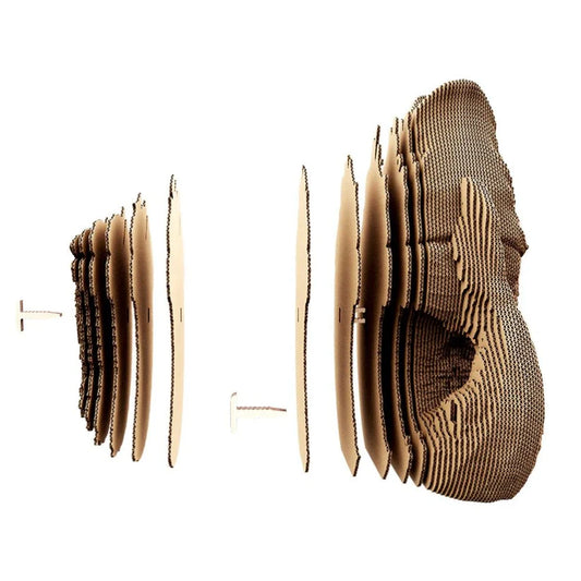 Hynovi - "Vase Fish" en carton